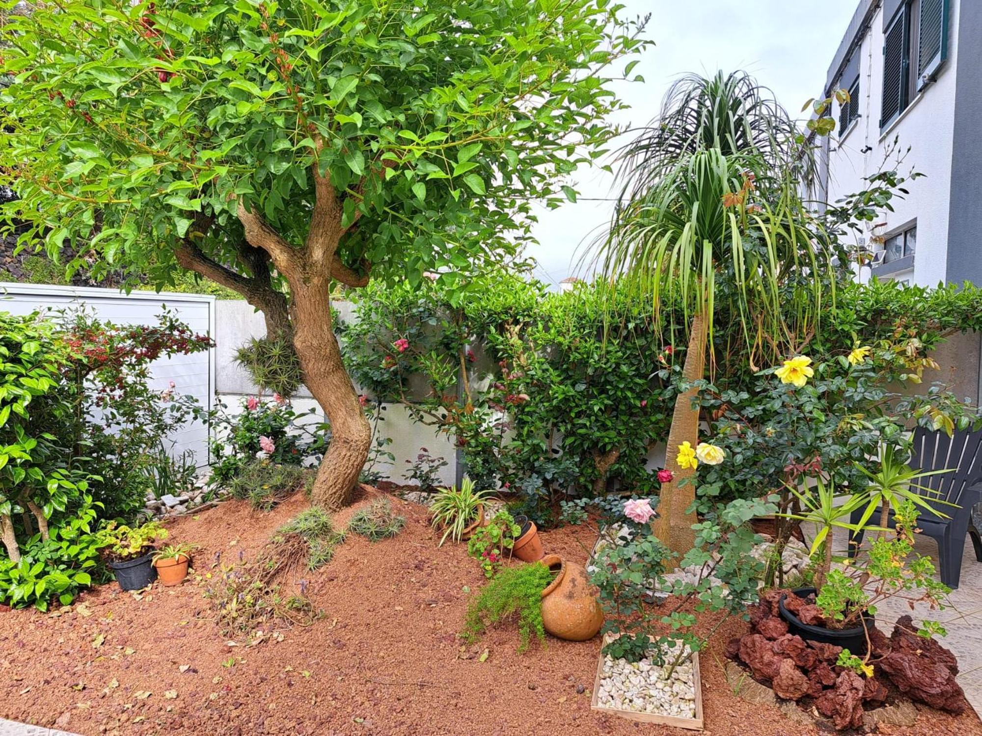 Friends'House - Azores Lagoa (Azores) Exterior foto