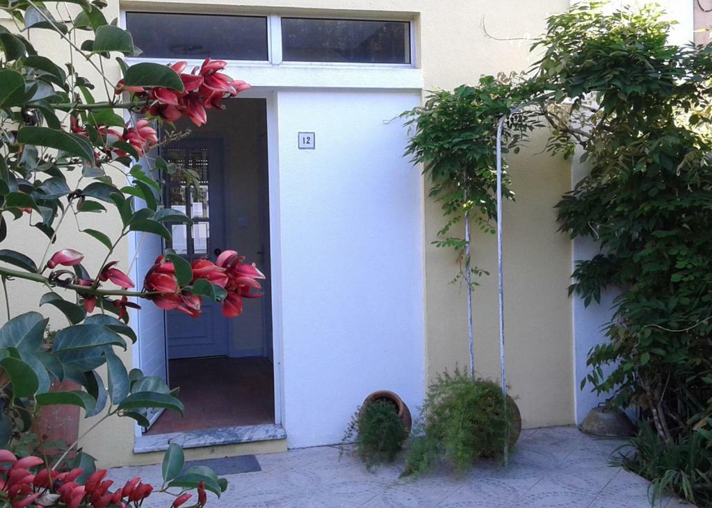 Friends'House - Azores Lagoa (Azores) Exterior foto